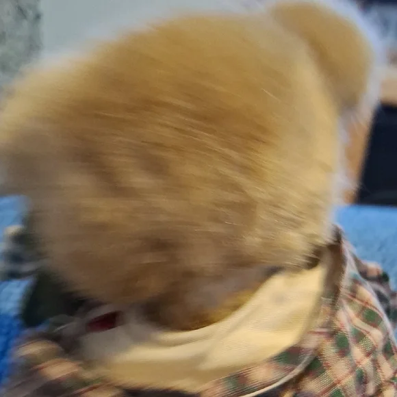 Boyds Bears Tan Teddy with Green Frog - Picture 8 of 9